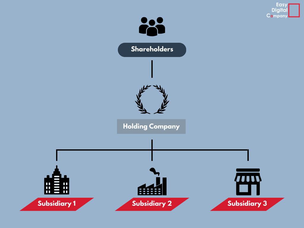 Easy Digital Tax and accounting information -  holding company