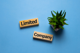 Can I be the only person in a Limited Company?