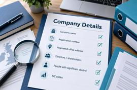 How to Check Your Company Details Before Filing                  